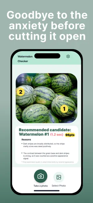 Watermelon Checker screenshot 1