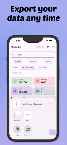 MiniLedger Pro screenshot