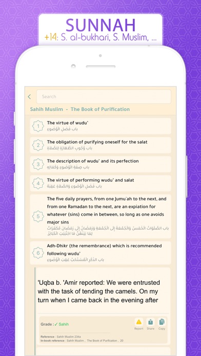 Quran in English القرآن الكريم Screenshot