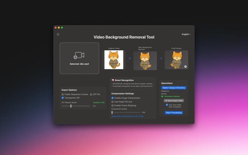 VidBRemove app screenshot