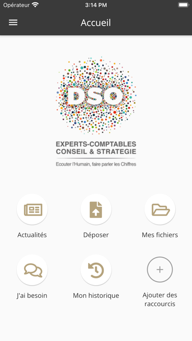MY DSO Screenshot