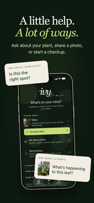 The Garden - Plant Diary screenshot 4