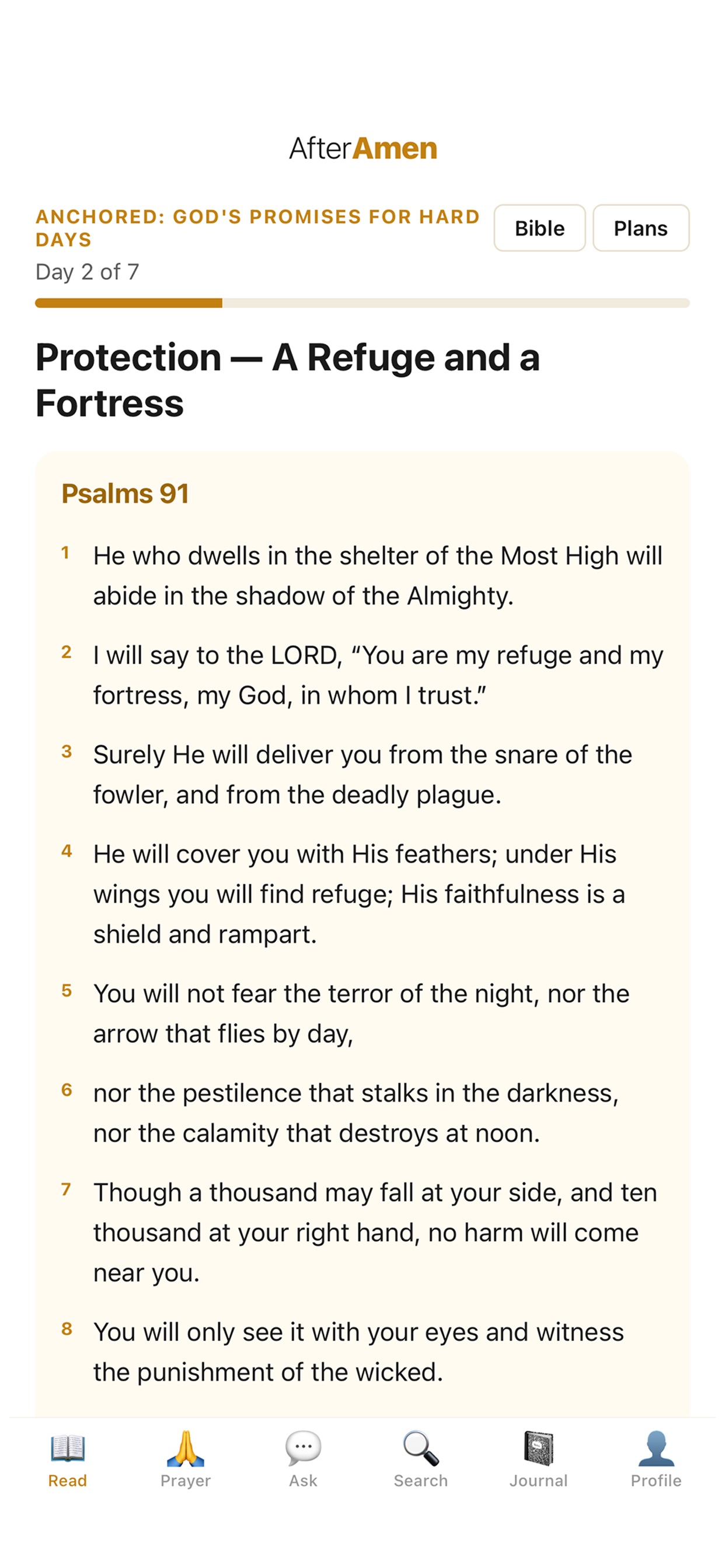 Screenshot 3 of After Amen