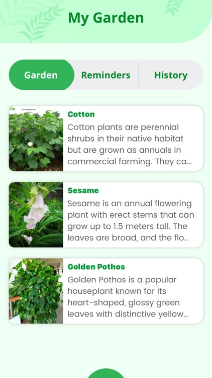 AI Plant Identifier& Diagnosis screenshot-6