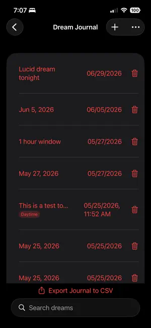 DreamDirector screenshot 3