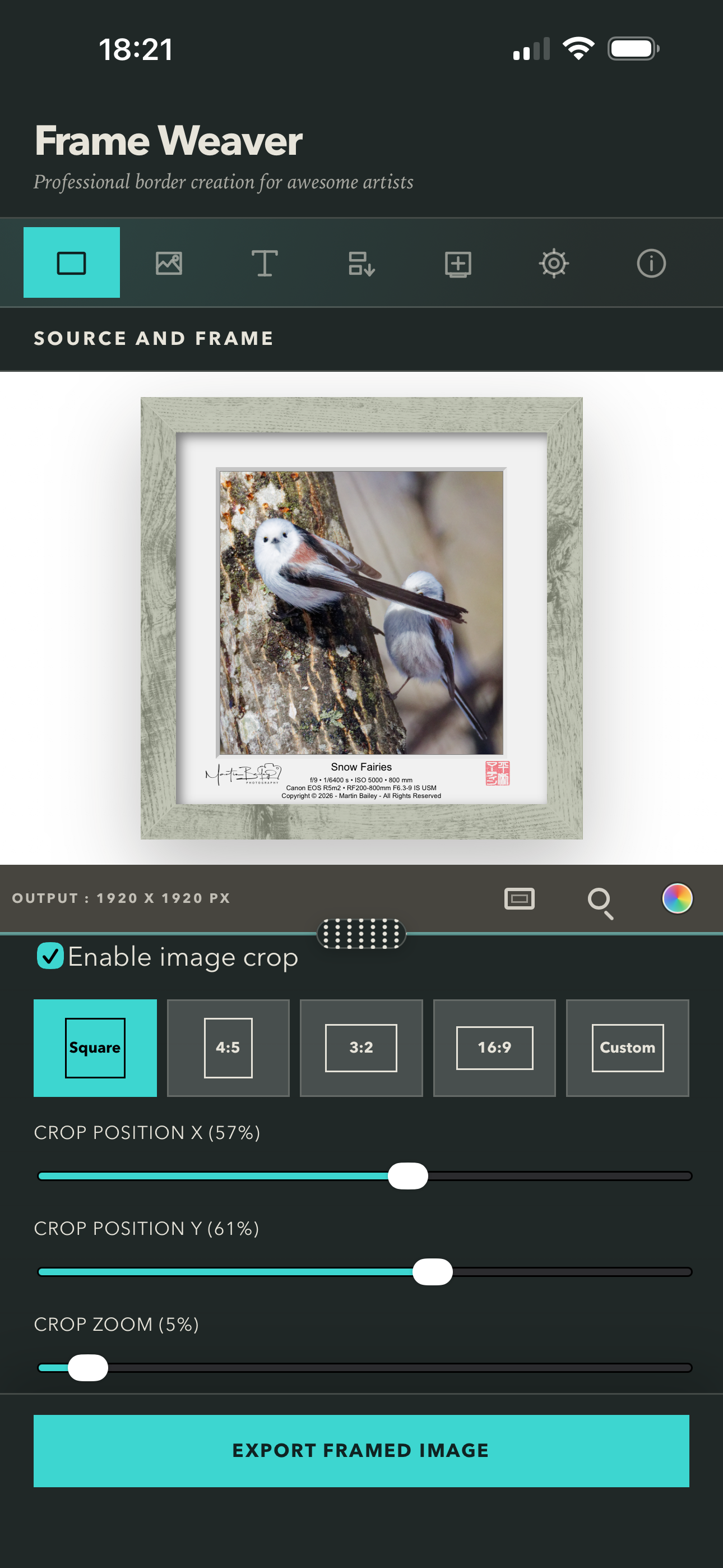 Frame Weaver by Fiction Loom screenshot 4