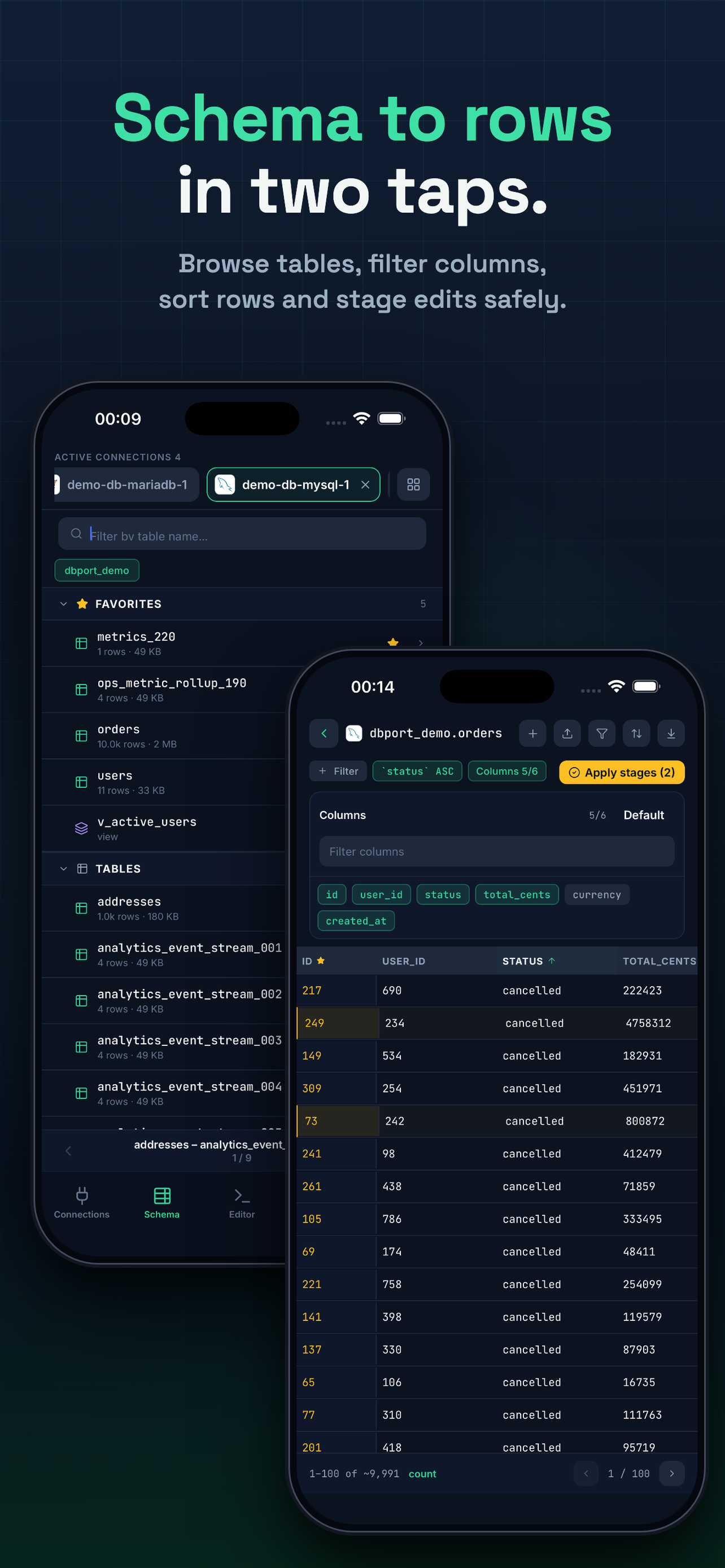 DBPort: Modern Database Client