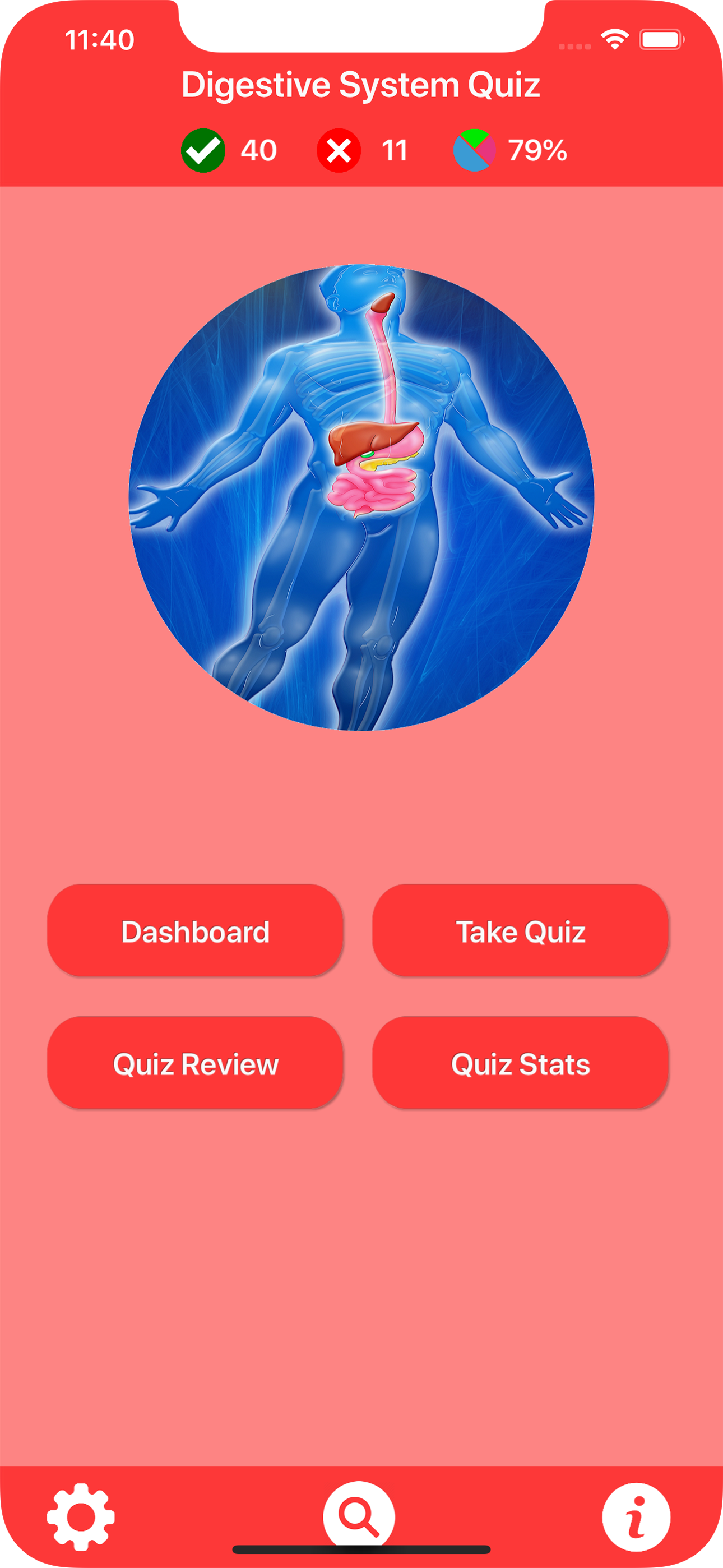 Digestive System Trivia