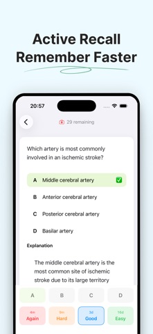 AI Flashcards – Maker & Learn Screenshot 2 of 4