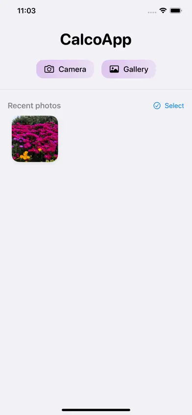 CalcoApp screenshot 1