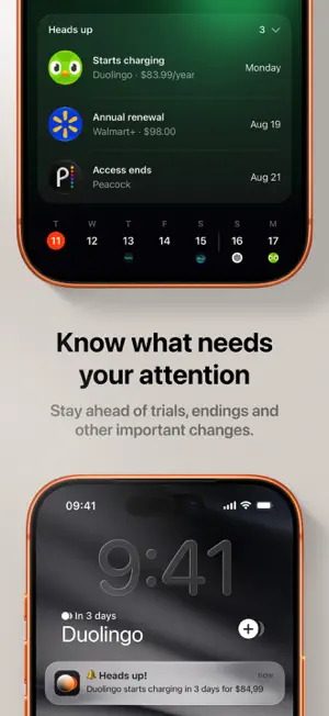 Subo - Subscription Manager screenshot 4