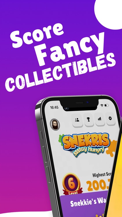 Snekris - Year of the Snake screenshot-4