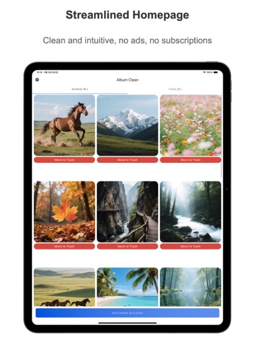 AlbumClean-Smart Photo Cleaner iPad screenshot