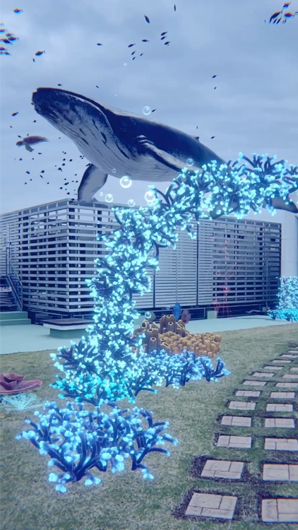 AR水族館 @ パンマルシェ screenshot-3