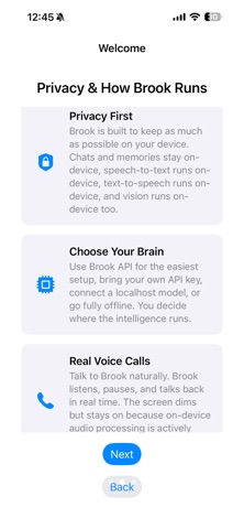 Brook: More Than AI Screenshot 2 of 7