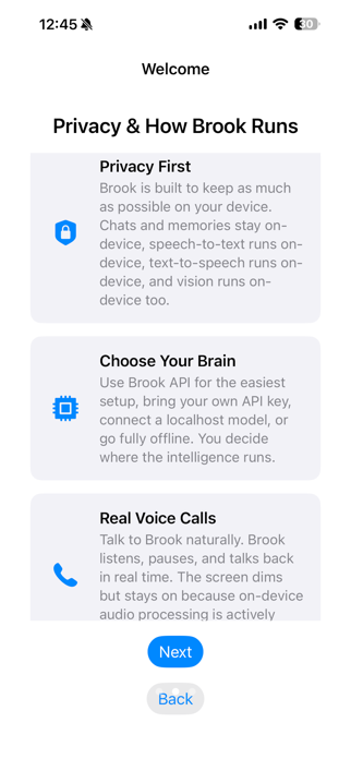 Brook: More Than AI Screenshot 2 of 7