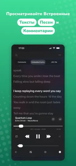 Скриншот Evermusic: оффлайн аудио плеер на iPhone 4