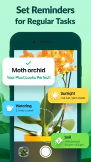 plantguru - plant care guide problems & solutions and troubleshooting guide - 1