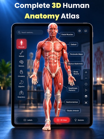 Complete Anatomy Learning 3D