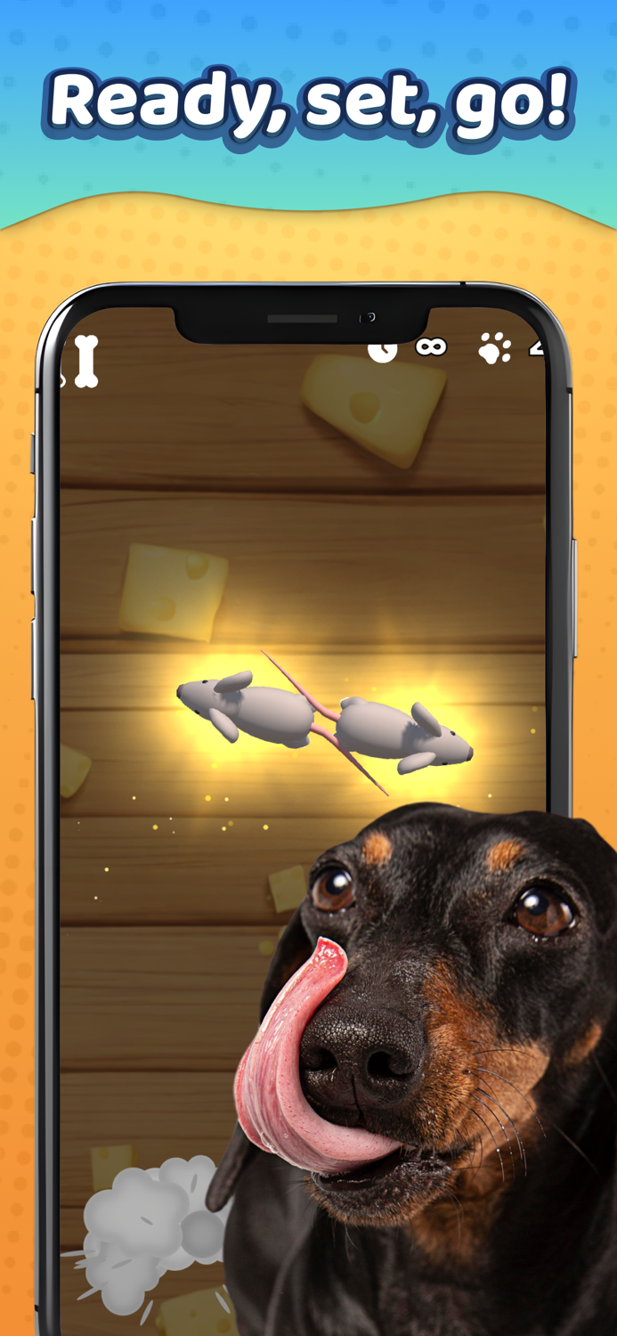 Laser Pointer － Games for Dogs