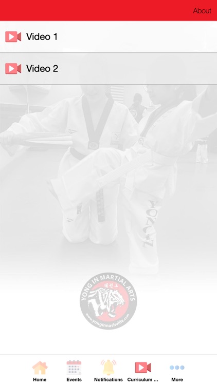 Yong-In Martial Arts Franklin