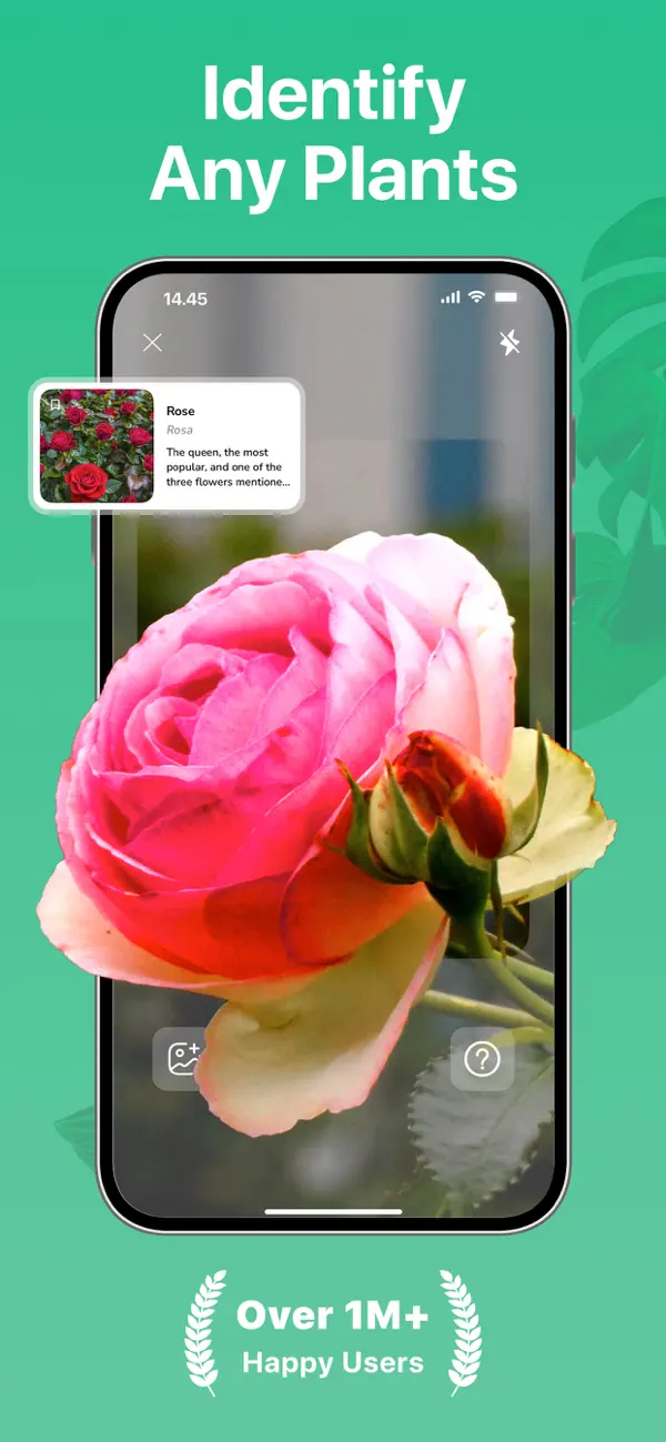 Screenshot #1 pour PlantMe: Plante Reconnaissance