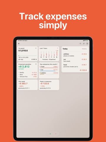 Expense Tracker: Money Gone iPad screenshot
