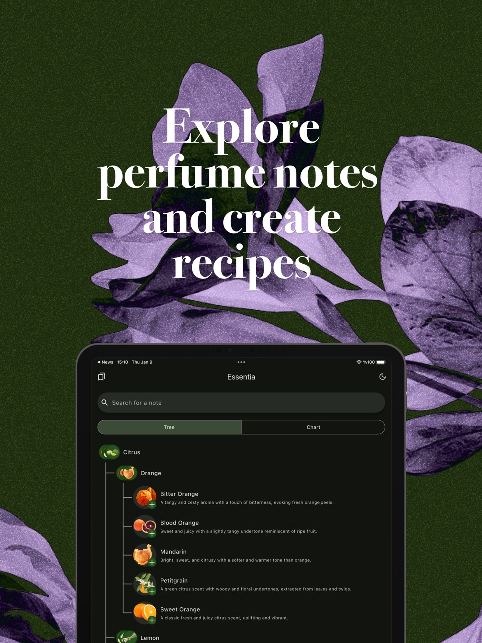 iPad screenshot