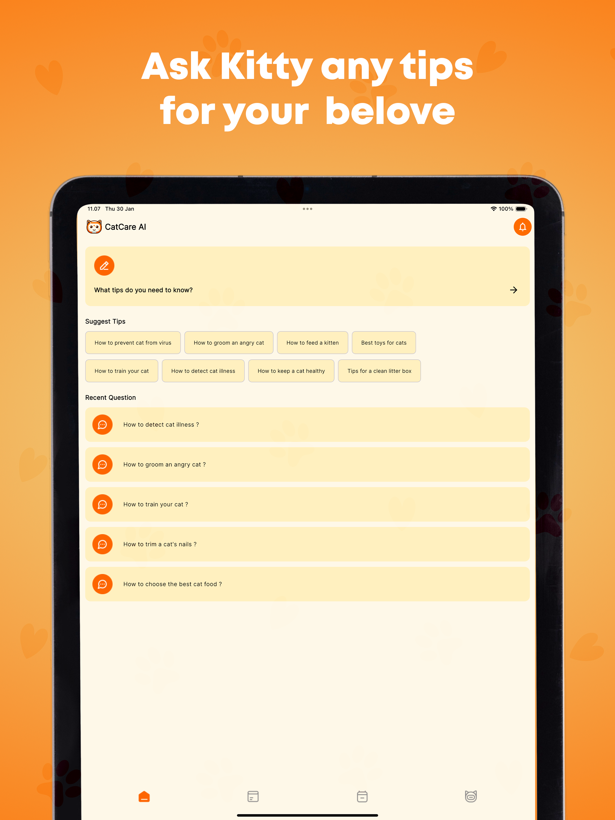 MeowCare AI - Tips & Tracker