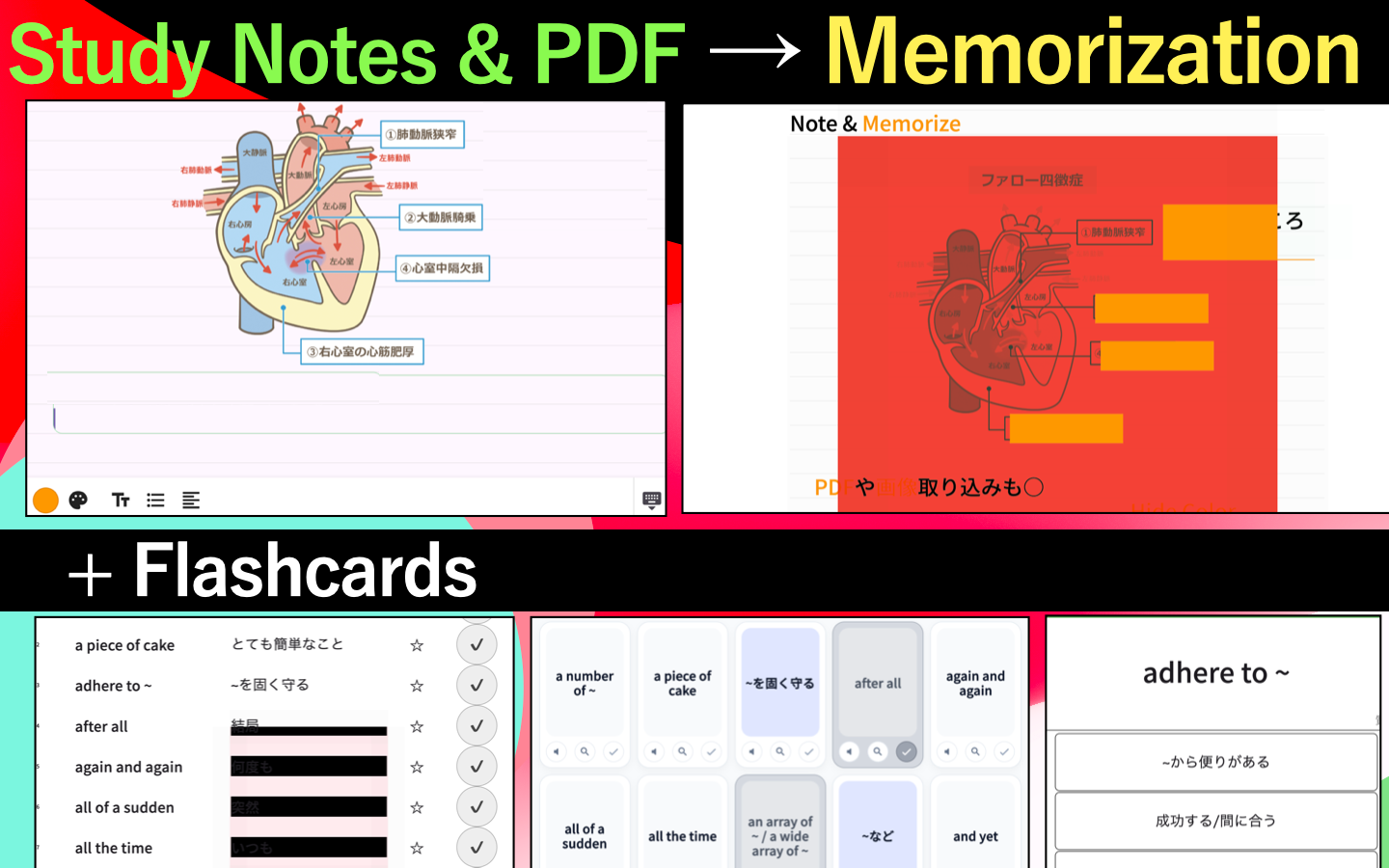 PDF Study Memorizer: Red Sheet
