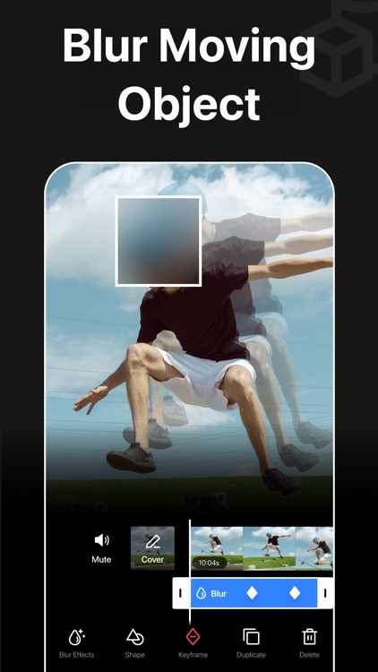 Blur Video - AI Mosaic Editor