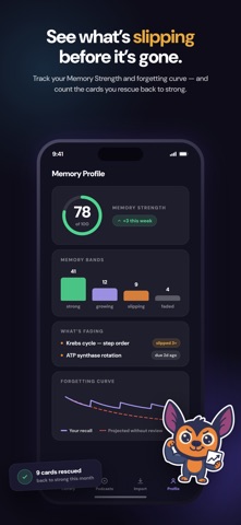 EchoDeck: AI Audio Flashcards Screenshot 6 of 7