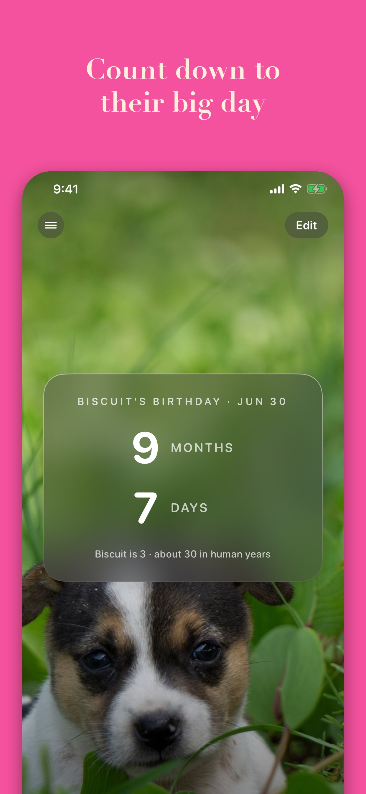 Screenshot 1 of Pet Birthday & Gotcha Day