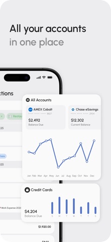 Bento: Budget & Money Tracker iPhone screenshot