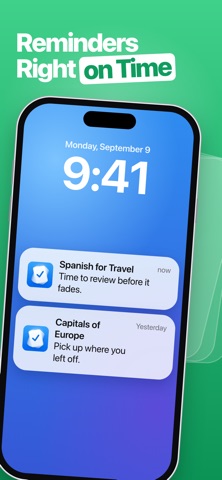 Mnemo: Flashcards & Vocabulary Screenshot 6 of 8