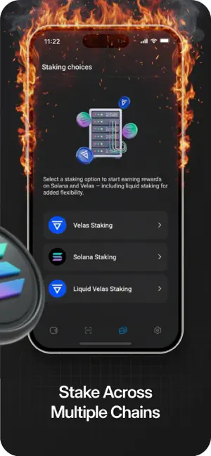 Frostfire wallet screenshot 4