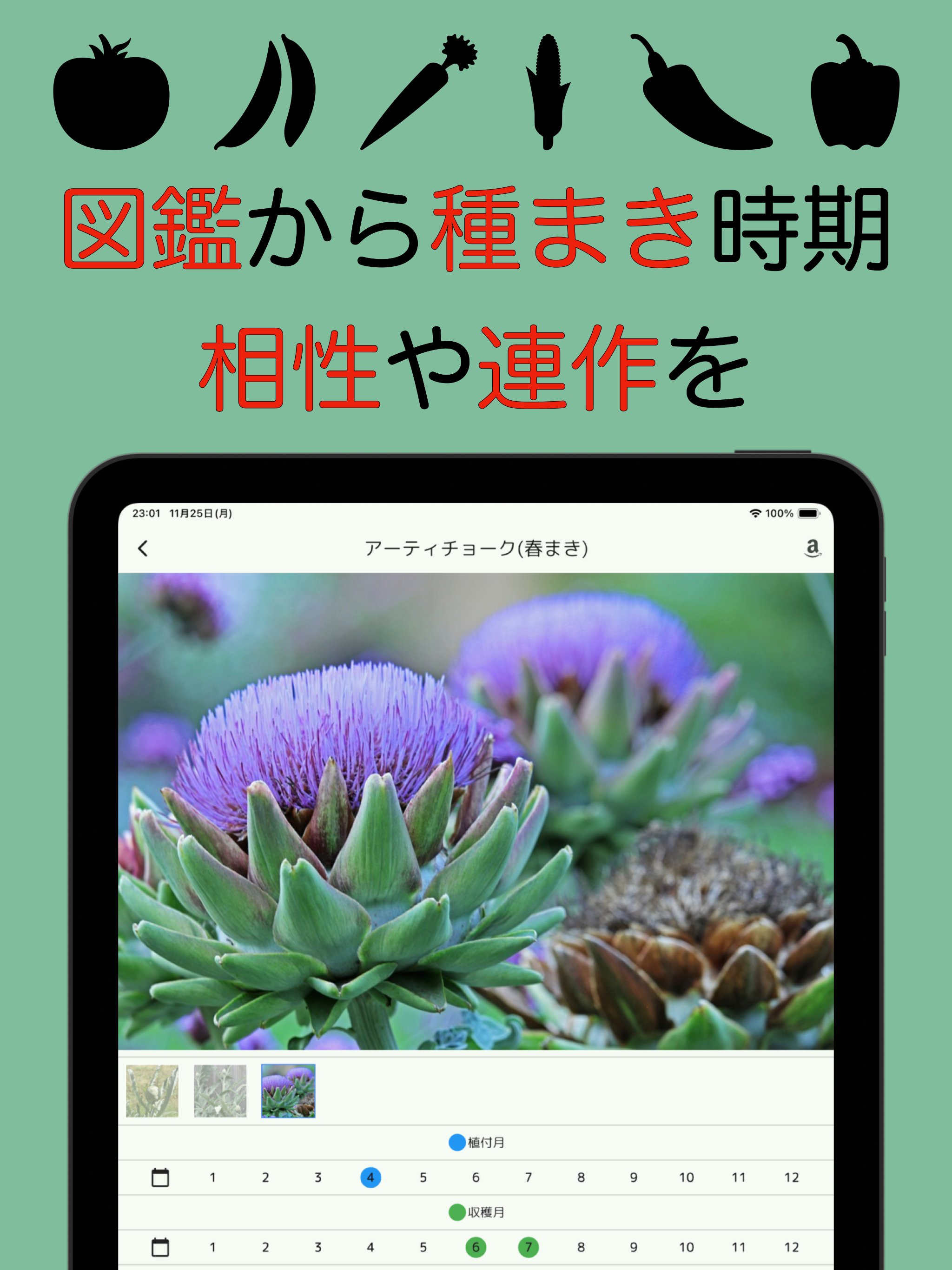 野菜栽培図鑑-家庭菜園で園芸を楽しもう-