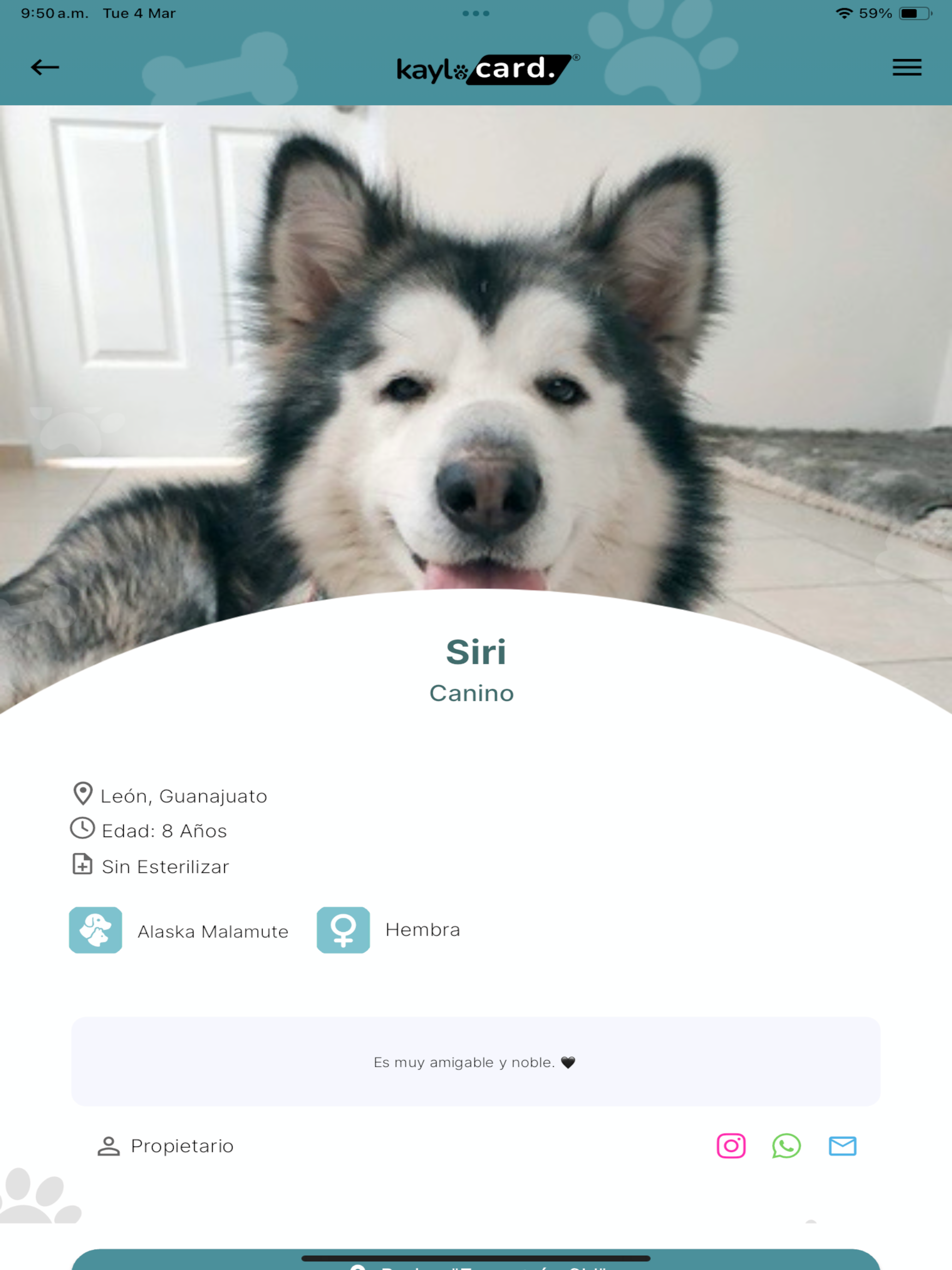 KayloCard screenshot 11