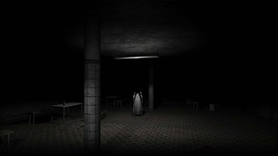 The Ghost - Multiplay... screenshot1