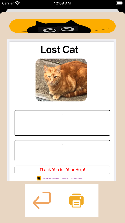 #8. Lost Cat App (iOS) 由: Feargal Tobin