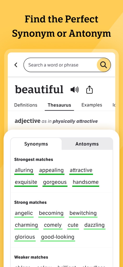 Dictionary.com: English Words - Usuários podem explorar uma rica variedade de sinônimos e antônimos para palavras como "beautiful", com listas categorizadas por força de correspondência e opções para visualizar ambas as categorias.