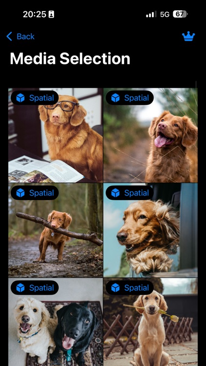 Spatial Video Studio