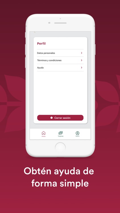 Programas del Bienestar screenshot-4