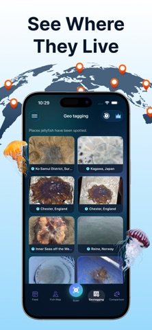 JellyScan - Identify Jellyfish Screenshot 3 of 7