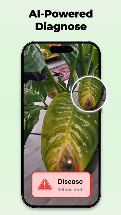 My Plant: AI Identitier Screenshot