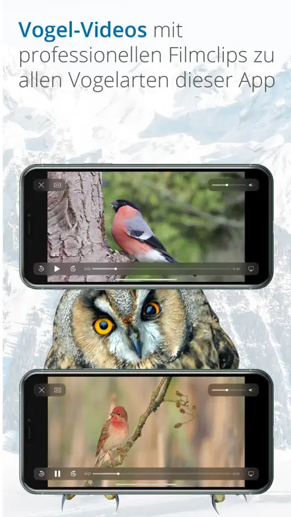 Screenshot 6 von 6 zu Vogelführer Birdlife Schweiz
