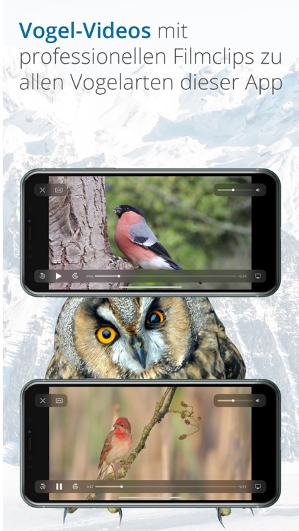 Vogelführer Birdlife Schweiz screenshot-5