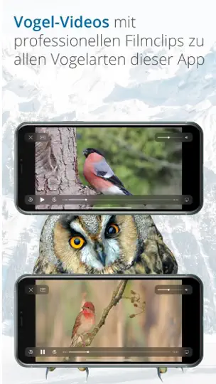 Vogelführer Birdlife Schweiz iPhone-skjermbilde 6
