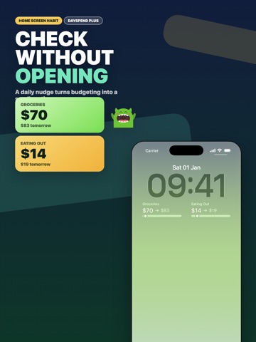 Daily Budget - DaySpend iPad screenshot