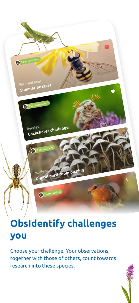 ObsIdentify - Education App | MWM